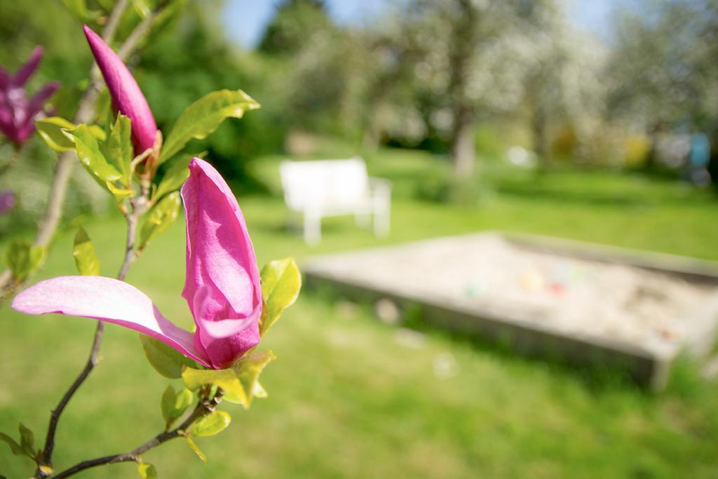 Adelheidshof Hotel Magelsen Luaran gambar